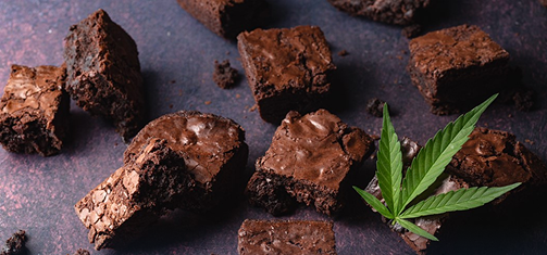 Edibles guide illustration · Union Chill Cannabis 101