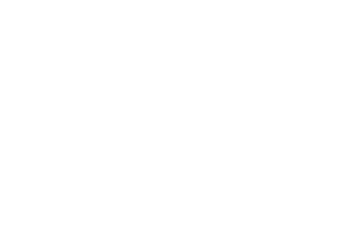 Silly Nice