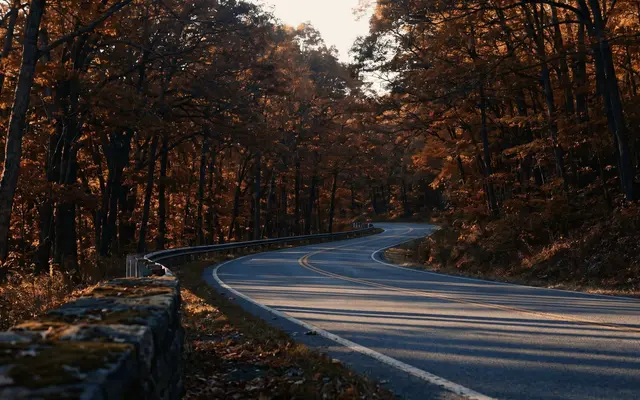 A winding road through peak autumn foliage on a Southern Tier ridge