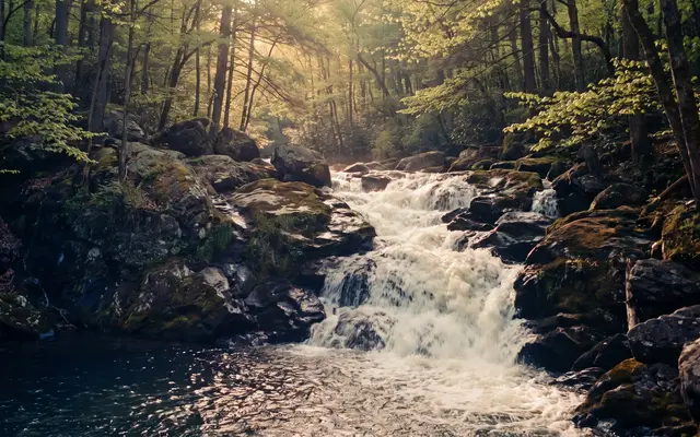 A waterfall spilling over mossy rocks in a green spring gorge