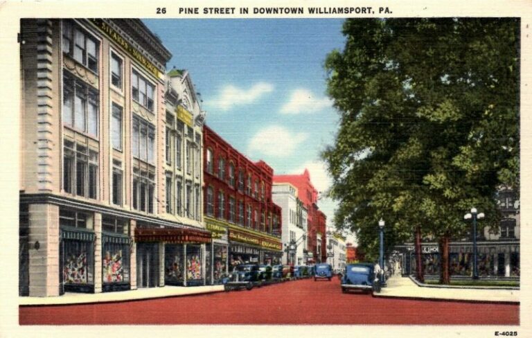 shopping williamsport pa corning dispensary