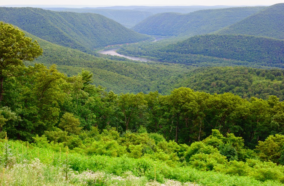Susquehanna river valley williamsport pa 17701 usa