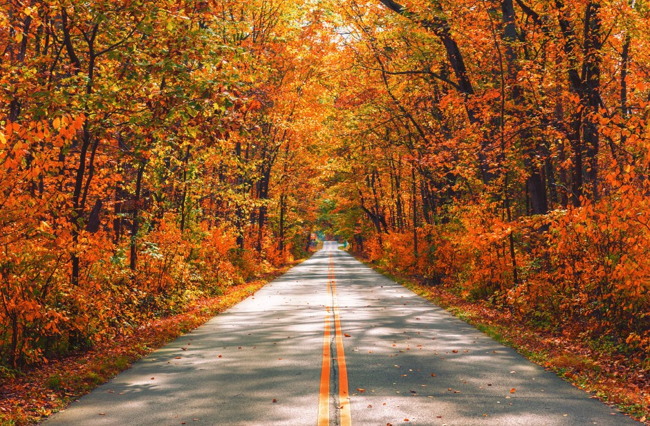 visit the best recreational dispensary near pennsylvania when seeing fall foliage corning ny